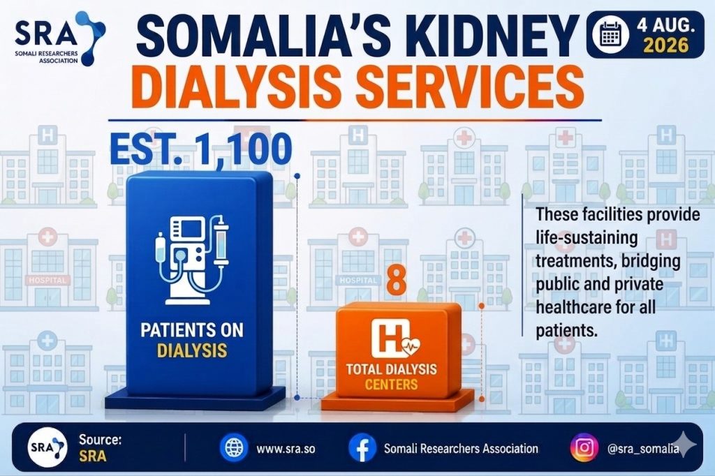 Somalia's Kidney Dialisis services